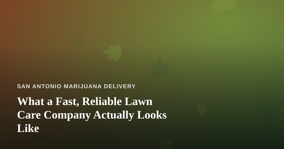 What a Fast, Reliable Lawn Care Company Actually Looks Like